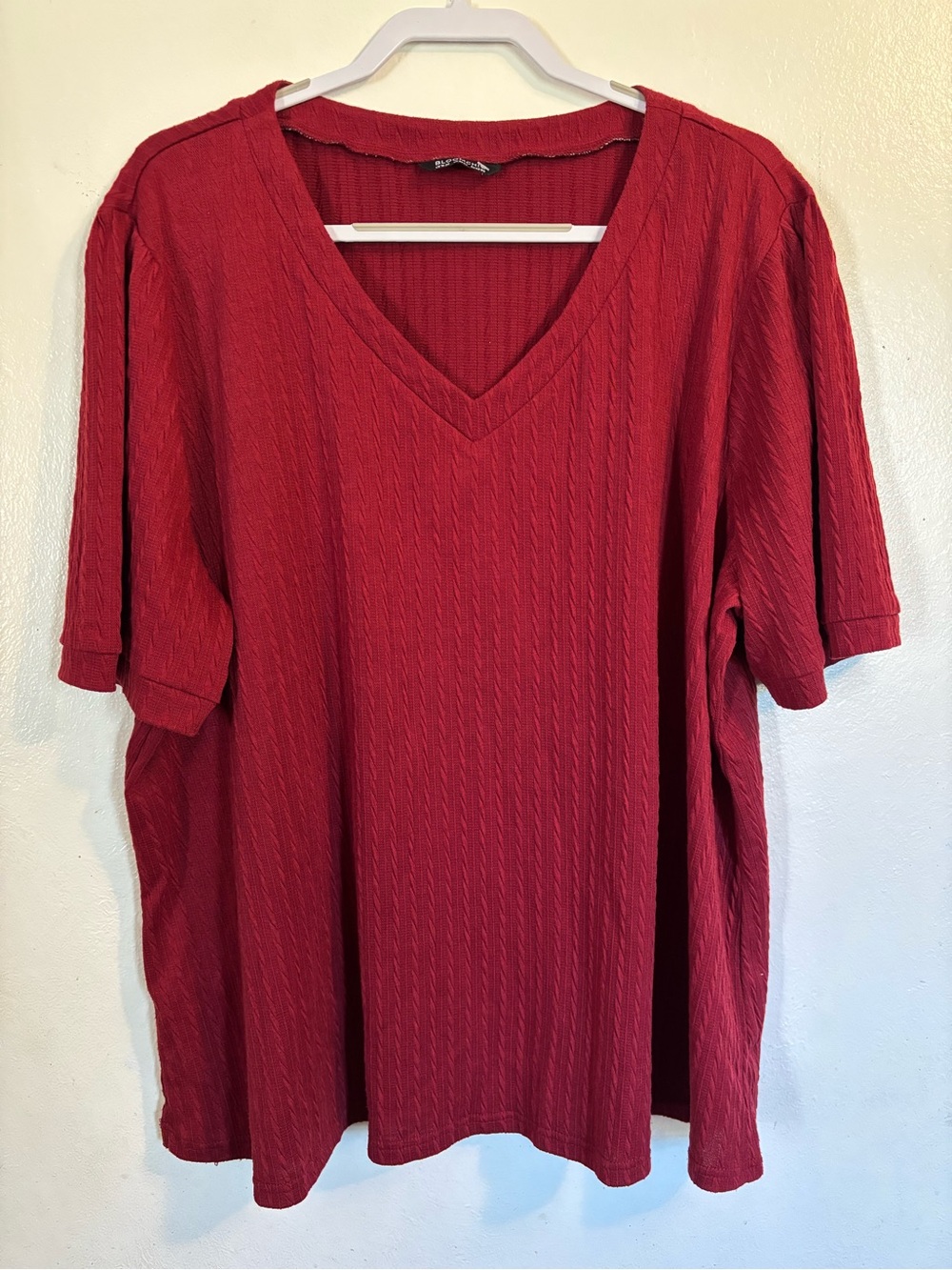 BloomChic Red V-Neck Textured Short Sleeve Top